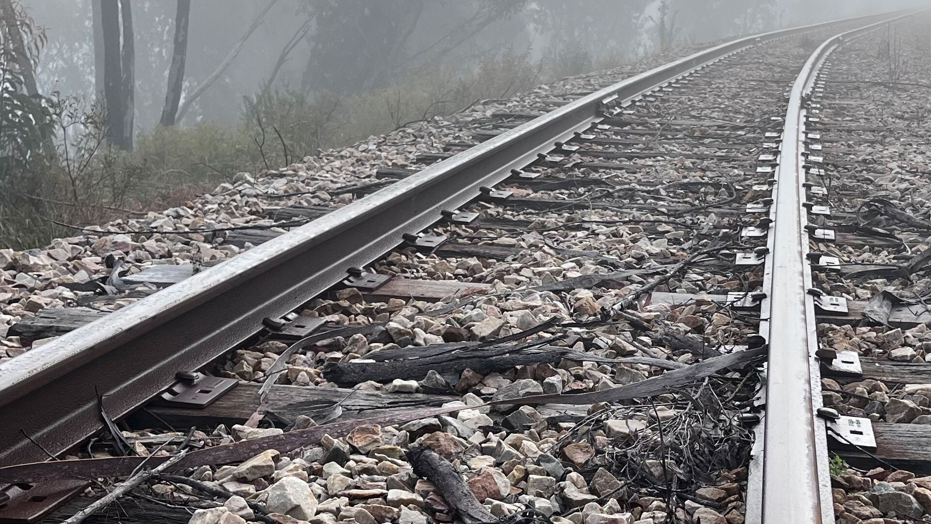 Image i Stock track close up 1489997544 Dec 2023