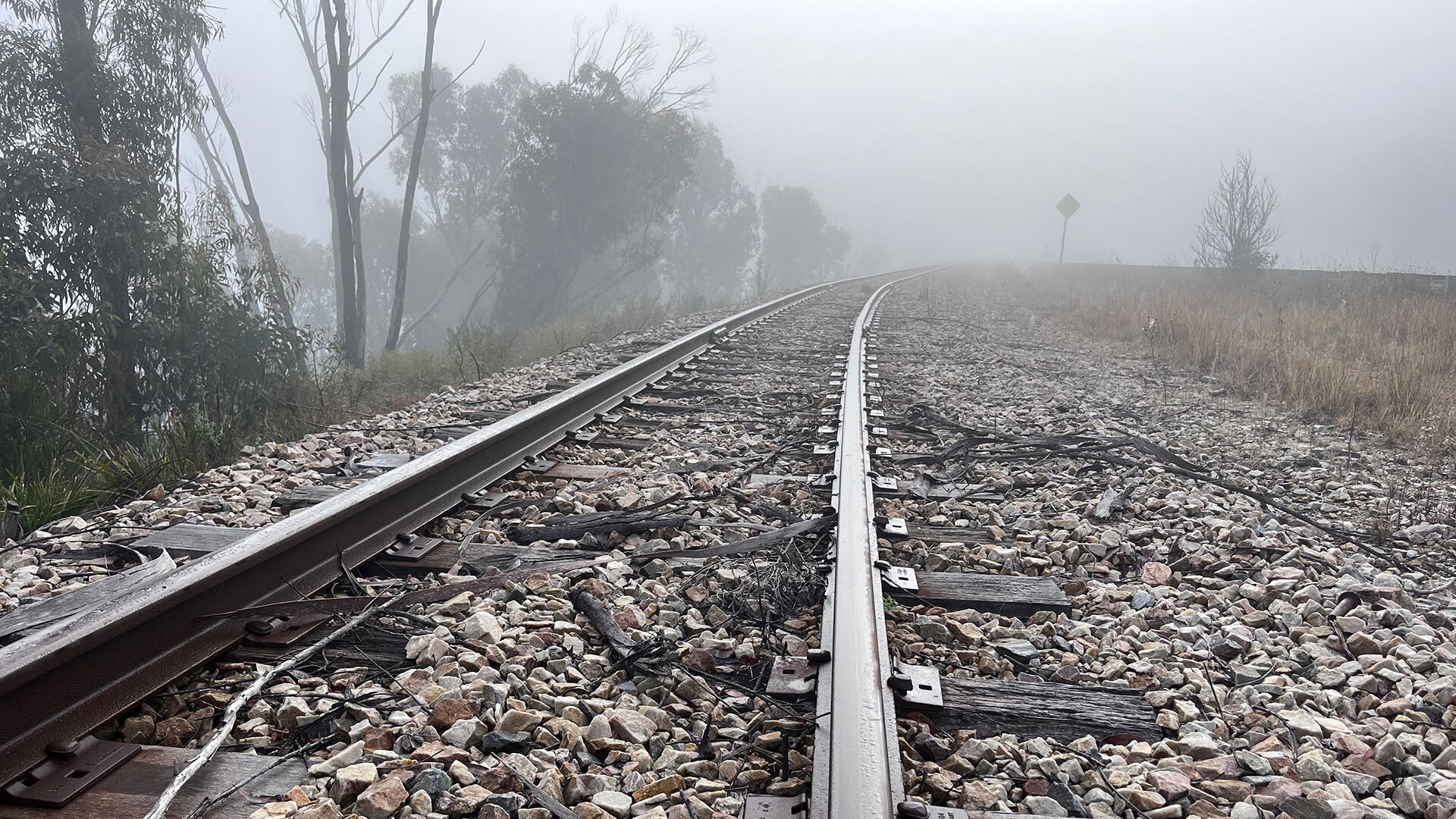 Web carousel Tracks and fog